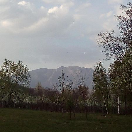 Pensiunea Adeluta Călimăneşti 외부 사진