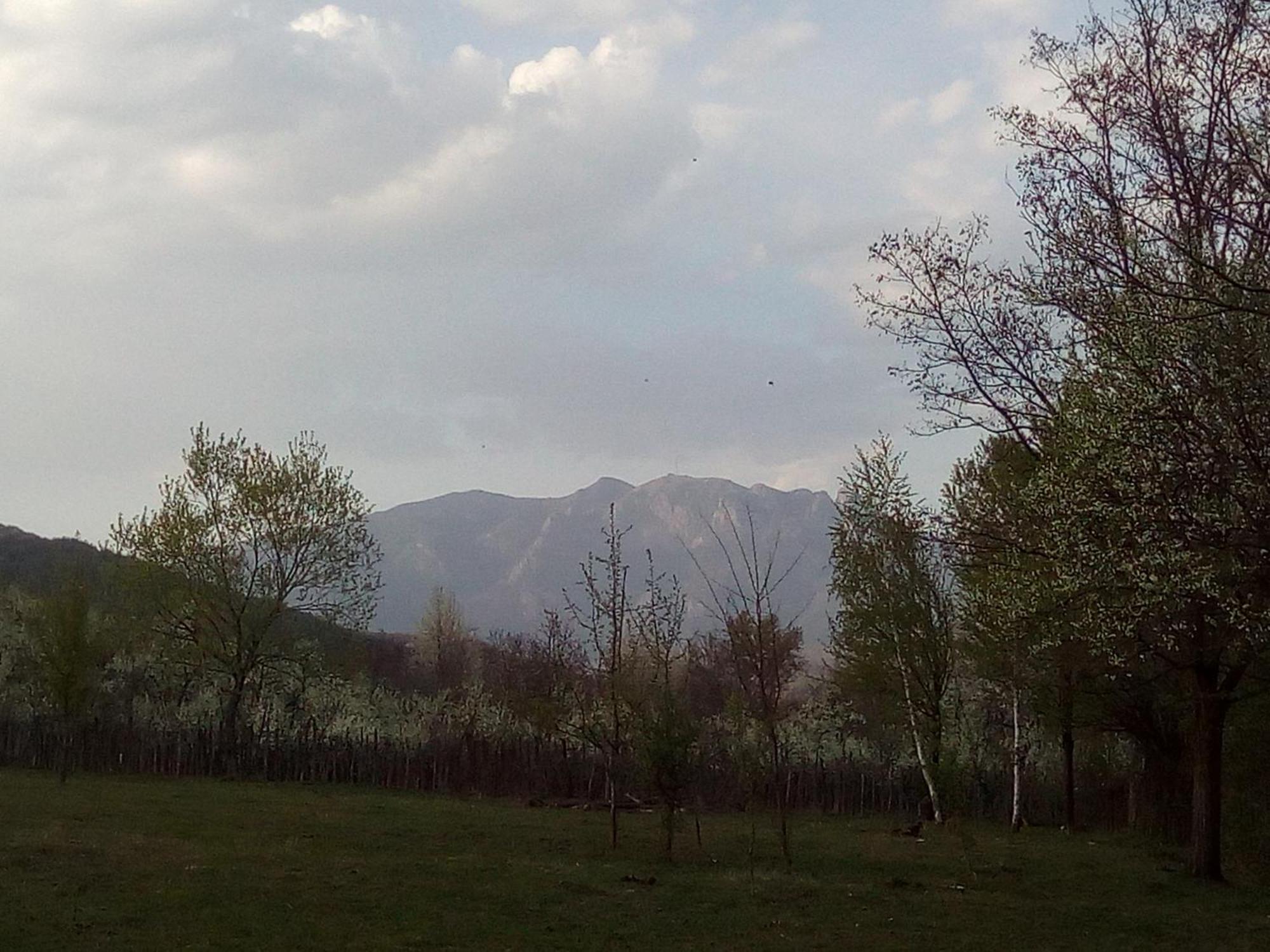 Pensiunea Adeluta Călimăneşti 외부 사진