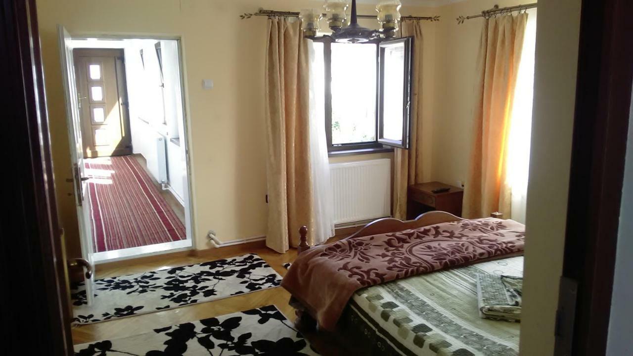 Pensiunea Adeluta Călimăneşti 외부 사진