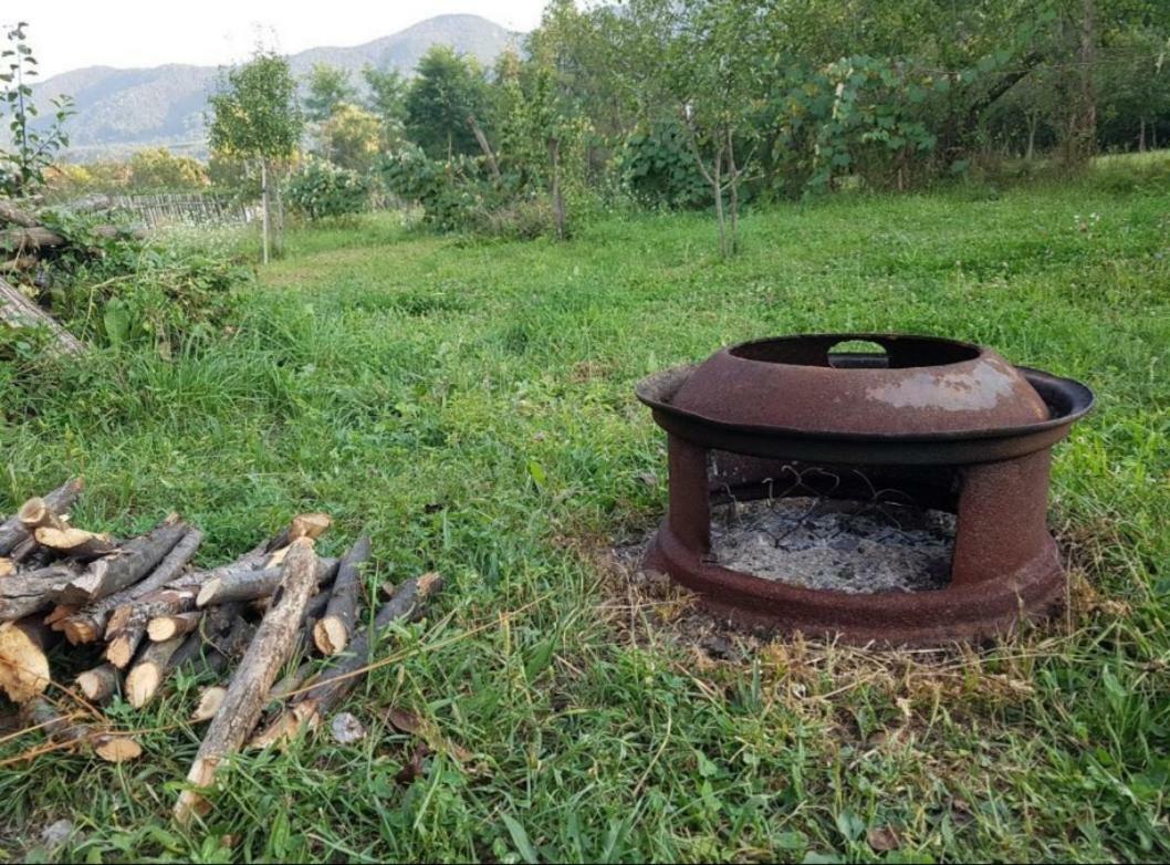 Pensiunea Adeluta Călimăneşti 외부 사진