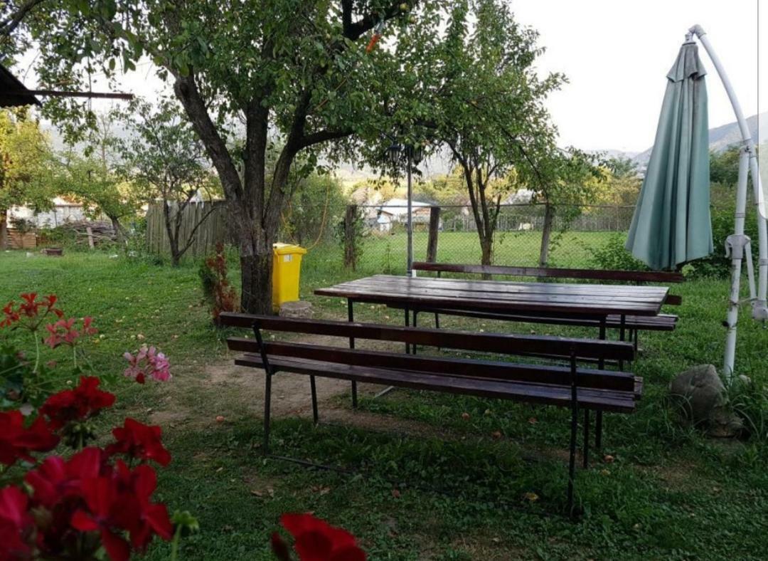 Pensiunea Adeluta Călimăneşti 외부 사진
